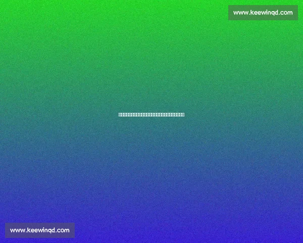 体育网站全面解析最新赛事动态与明星运动员表现深度评测
