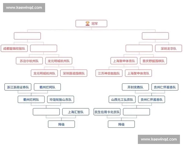 基于体育比赛分析框架的多维度策略探讨与应用研究 基于体育比赛分析框架的多维度策略探讨与应用研究